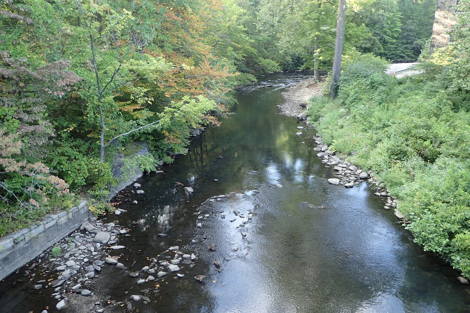 Río Bronx: qué ver, canoa gratis y cómo llegar al único río de agua dulce de Nueva York